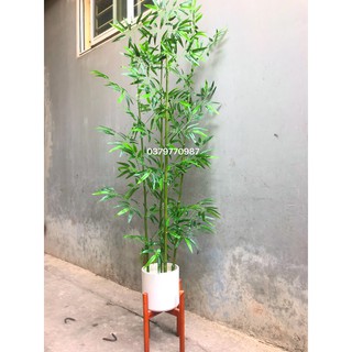 combo 20 cây trúc 200 cm nhiều lá, và 4 chậu nhựa hàng rào