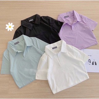 ÁO CROPTOP POLO NỮ, Áo thun nam nữ, chất đẹp, mặc mát - MODY
