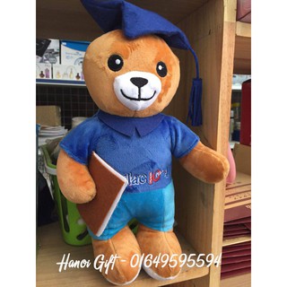 Combo 8 gấu cử nhân
