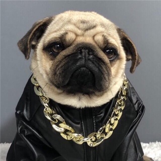🧸VÒNG CỔ MẠ VÀNG CHO CHÓ MÈO🧧