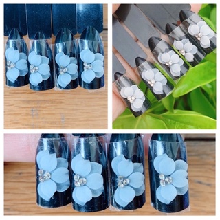 hoa nail_ hoa bột ( cúc nửa nhọn)
