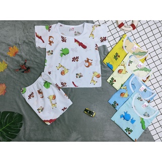 Đồ bộ tole bé trai từ 14-18kg (giao màu ngẫu nhiên)