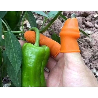 BỘ MÓNG HÁI RAU CAM CÓ ĐẦU BẤM DỄ DÀNG N18