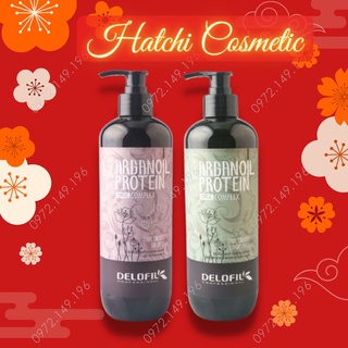 Bộ Dầu Gội Xả Mềm Mượt Chống Gàu Delofil Arganoil Protein