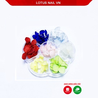 Hoa khô nail, hoa khô lụa tú cầu trang trí móng khay 7 màu