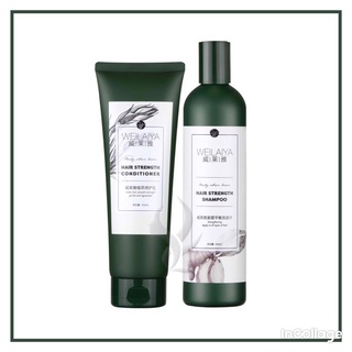 Dầu Gội Đầu WEILAIYA Gừng Xả Hà Thủ Ô (1 Cặp Gội Xả + 1 Set Mini)