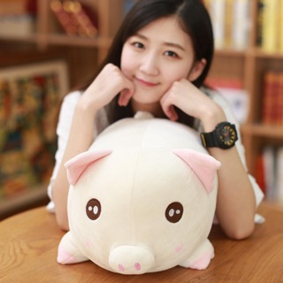 Gấu bông lợn ỉn lười biếng ( cực chất- 30cm)