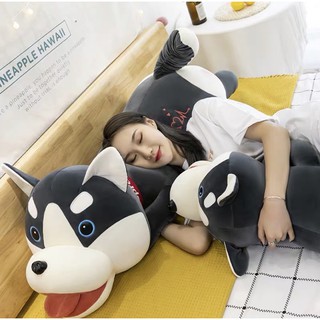 Chó Rangdoll Bông,Chó Husky Ôm Dài