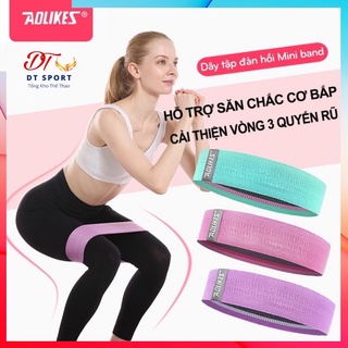 Dây mini Band Kháng lực tập chân mông Aolikes ⚡ Free Ship ⚡ phụ kiện gym miniband chính hãng