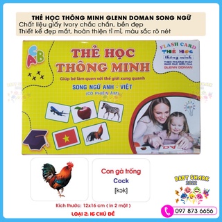 Thẻ học thông minh cho bé theo phương pháp GLENN DOMAN, thẻ học cho bé loại to cứng 16 chủ đề