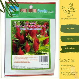 HG PN - Hoa mào gà lửa Gói 0.5g - Hạt Giống - Hoa