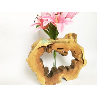 Gỗ lũa tròn hình dáng tự nhiên độc đáo dùng làm bình hoa trang trí sang trọng