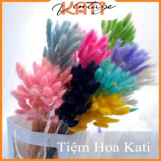 BÔNG HOA ĐUÔI THỎ ướp khô  - bình hoa trang trí - decor- bình hoa- hoa khô trang trí cafe, trà tranh, baby, [403]