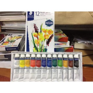 Màu acrylic Staedtler