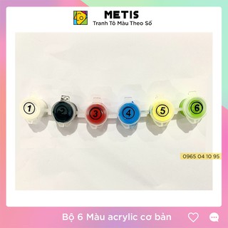 Bộ 6 Màu Acrylic Cơ Bản Tô Tranh Số Hoá Dung Tích 6ml