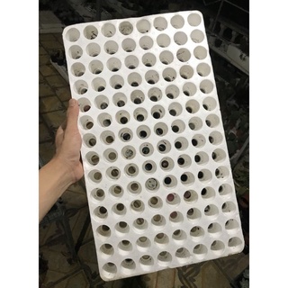Vỉ xốp ươm sen đá, xương rồng, hạt giống, cây giống, lá mầm tiện lợi - Vỉ đã qua sử dụng