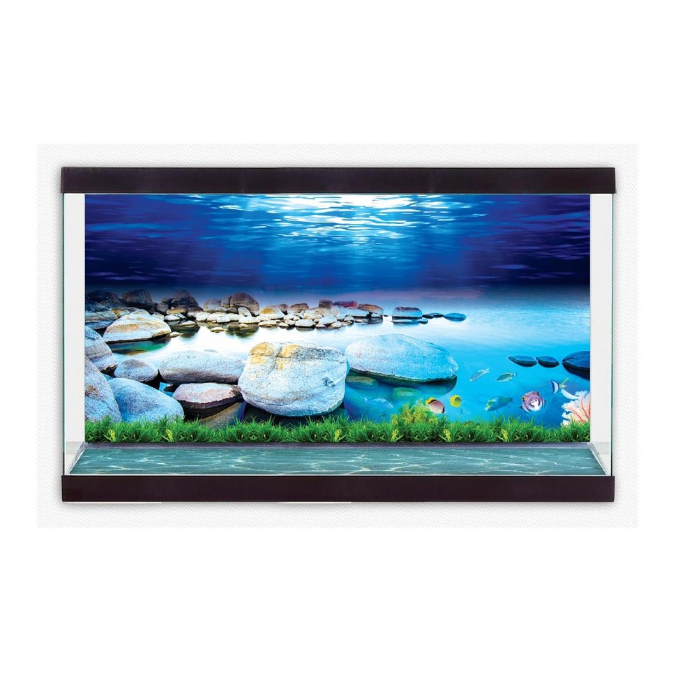 TRANH DECAL DÁN HỒ CÁ 3D_NÀNG THƠ