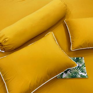 BỘ DRAP THUN SIÊU LẠNH BẢN CAO CẤP