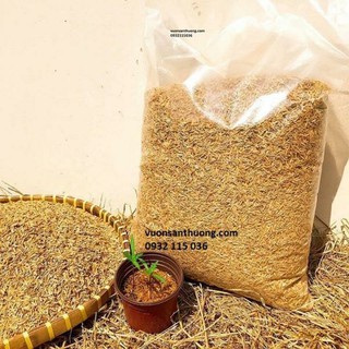 [ Hàng sẵn] Trấu sống -500gr - trộn đất trồng cây trong chậu.