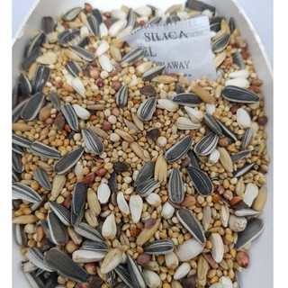 Hạt trộn cho vẹt nhỏ gói 500g - 1kg