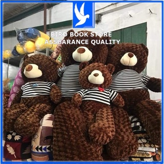 Gấu bông to Teddy khổng lồ ôm ngủ cao cấp Nhiều Size - Gối ôm hình thú Teddy Bear lông xù mini Bao Xinh Bird book