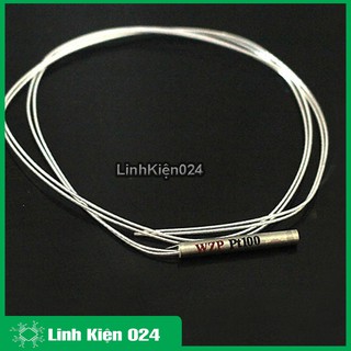 Dây Cảm Biến Nhiệt Độ PT100 WZP