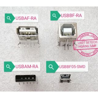 Cổng USB A Type B Type mini USB 1 chiếc