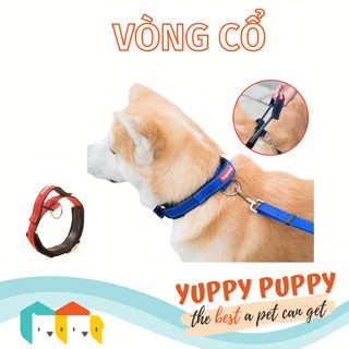 Vòng cổ có tay cầm trợ lực cho cún