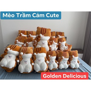 Mèo Bất Lực - Mèo Đau Khổ Ôm Đầu Nhồi Bông - Chất Vải Xịn Mát - Không Bay Màu - Bông Mềm Mại - Đủ Size 30cm 40cm 50cm