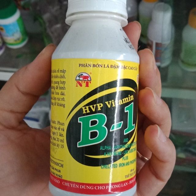 Vitamin B1
