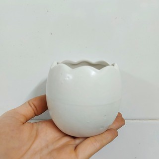 Chậu trồng cây: chậu sứ vỏ trứng