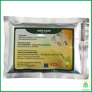 Vi Sinh Nấm Xanh Phòng Và Trừ Sâu, Bọ Trĩ, Nhện Đỏ, Sùng Đất - Chế Phẩm Sinh Học An Toàn, Hiệu Quả