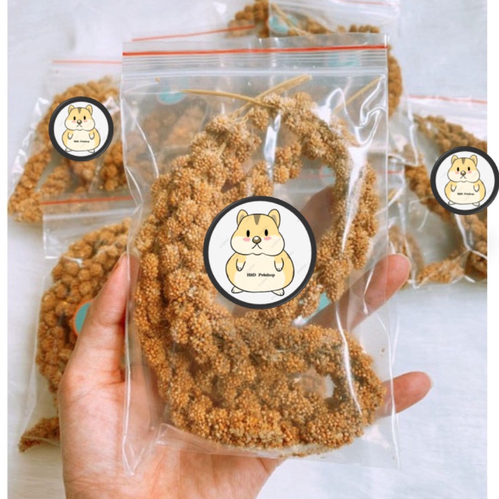 Kê chùm cho hamster