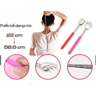 Cây gãi lưng rút gọn hình tay gấu