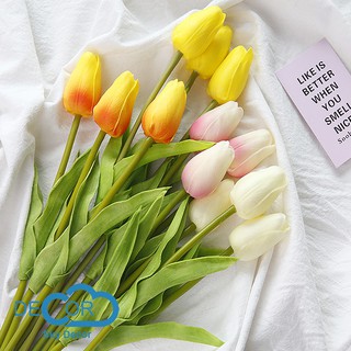 HOA TULIP TRANG TRÍ NHÀ CỬA, ĐẠO CỤ CHỤP ẢNH SẢN PHẨM - Sky Decor