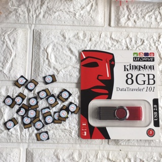 Combo 10 Thẻ Nhớ Micro SD 4GB ( Tặng Usb 8GB)