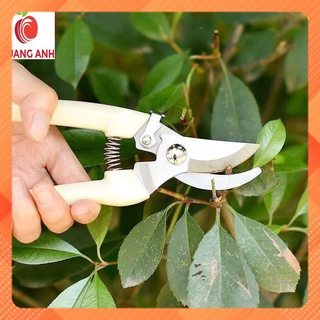 Kéo Cắt Tỉa Cây Cảnh Chuyên Dụng