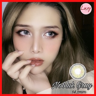[ Ảnh Thật ] Lens Nobluk Gray 0-6 Độ Lens Hàn - Uy Tín Số 1 Hà Nội - LUXY LENS
