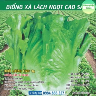 Hạt Giống Xà Lách Ngọt Cao Sản 3gr
