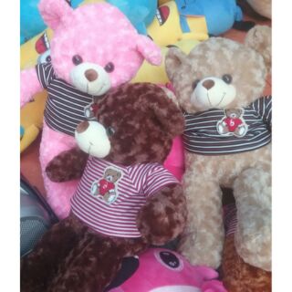 Gấu Teddy 50cm