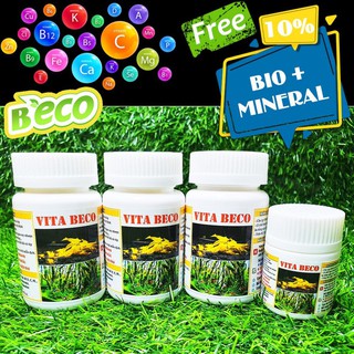 Vitamin Khoáng VITA BECO 🦐 Dành cho cá tép