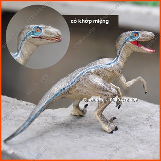 Mô Hình Khủng Long Veloci Raptor Blue - 2 Mẫu - 7739.56