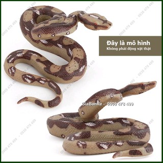 Mô Hình Trăn Gấm - 7669.8