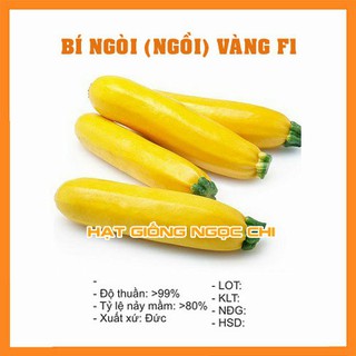 Hạt Giống Bí Ngồi Vàng (Bí Ngòi) F1 - 10 Hạt