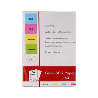 Bìa màu ngoại T&amp;T A3 định lượng 160gsm