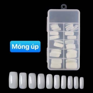Hộp 100 móng úp đục