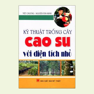 Sách - Kỹ Thuật Trồng Cây Cao Su Với Diện Tích Nhỏ