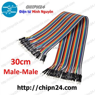 [20 SỢI] Dây Cắm Test Board 30cm Đực-Đực