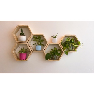 [Giá hủy diệt] Tổng Kệ Lục Giác Decor 5 kích thước| Kệ sách tổ ong HPKTT 19