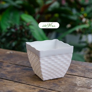 (Mẫu mới) Chậu vuông mây trồng cây, trồng hoa kiểng